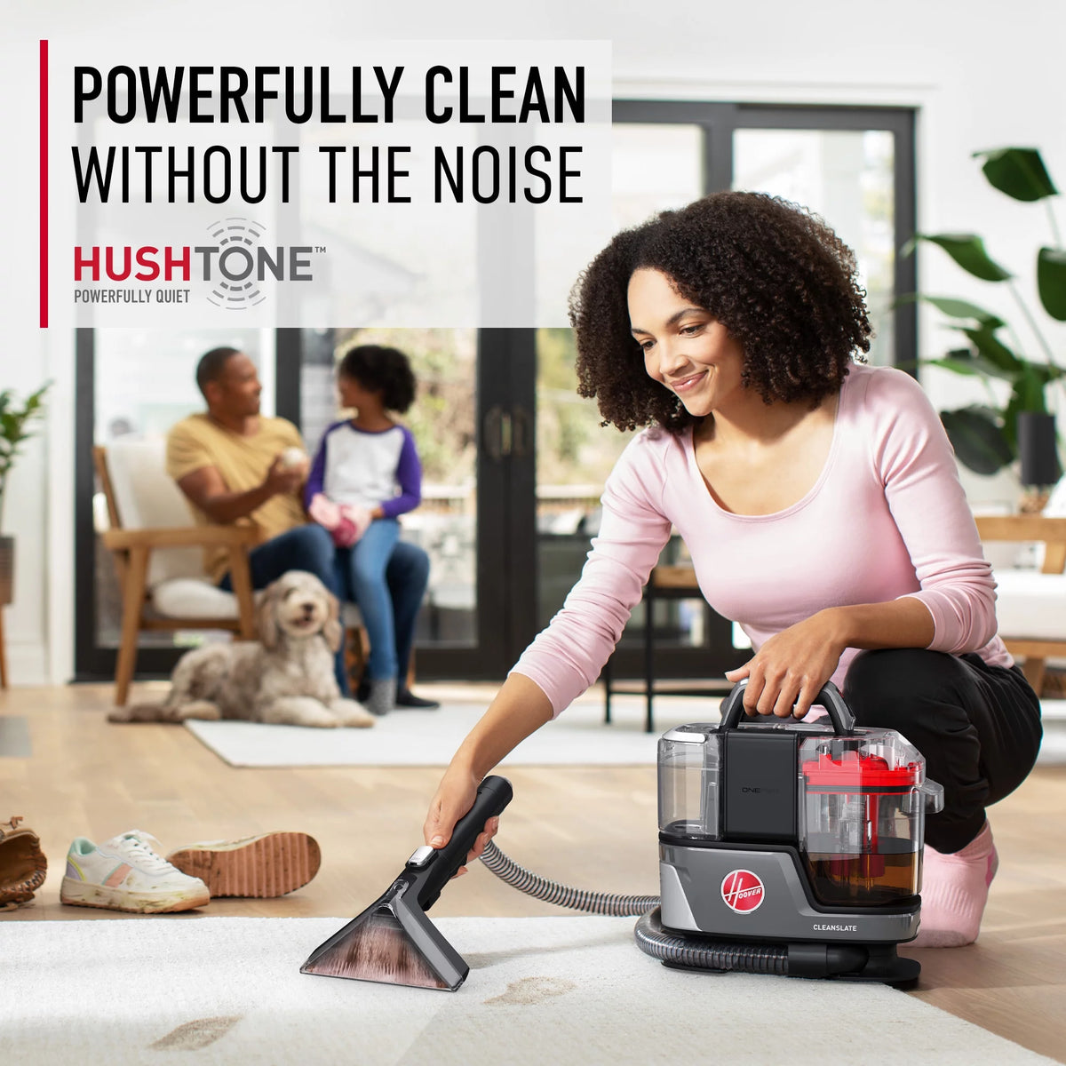 Cordless Portable Carpet Stain and Upholstery Spot Cleaner D9641